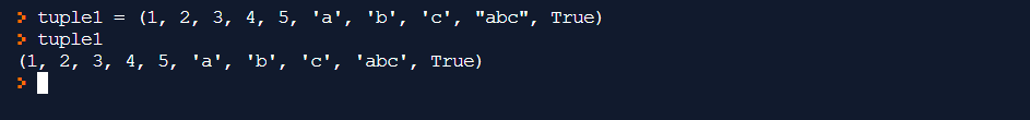 Python Tuple mit verschiedenen Datentypen.